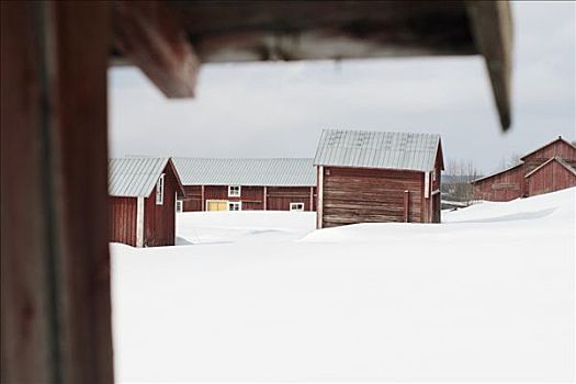 红房子,冬天,瑞典