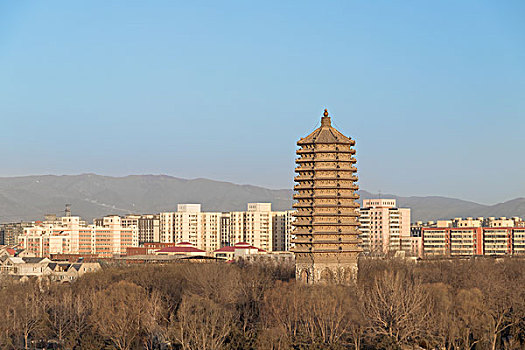 北京慈寿寺塔全景