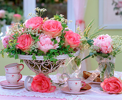 芍药科,牡丹,粉色,玫瑰