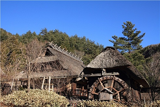日本,茅草屋顶,房子