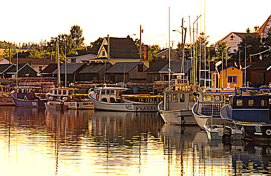 渔船,黄昏,爱德华王子岛,加拿大