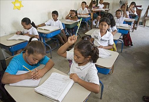 学生,小学,两个,分享,书桌,佩特罗,伯利兹,中美洲