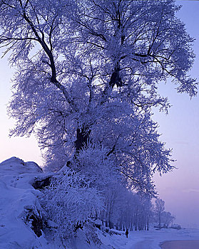 吉林雾凇雪景风光