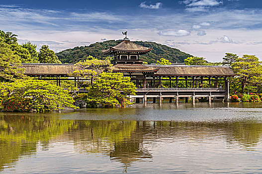 神祠,花园,京都,日本,传统,木桥,反射,湖,围绕,绿色,夏天