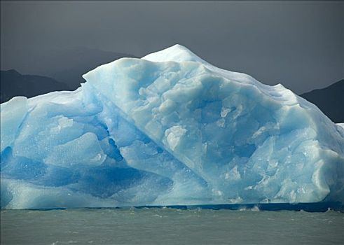 冰山,漂浮,卡拉法特,巴塔哥尼亚,阿根廷