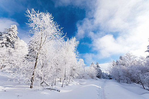 和龙老里克湖冬季,林海雪原