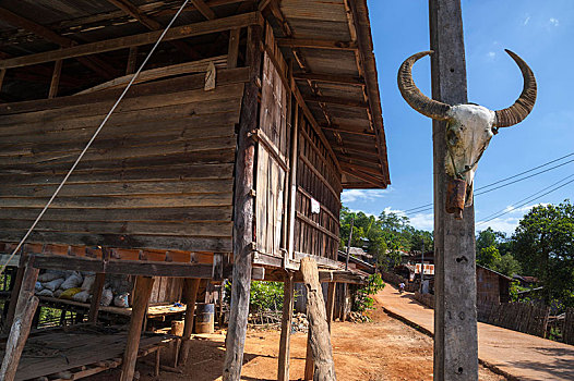 头骨,水牛,悬挂,靠近,小屋,乡村,儿子,省,北方,泰国,亚洲