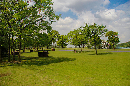 城市森林,阳光草地