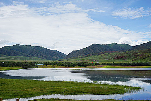 陕西甘肃夏河县桑科草原