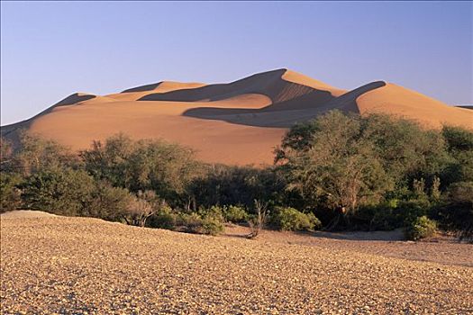 分开,沙丘,砾石,纳米布沙漠,纳米比诺克陆夫国家公园,纳米比亚
