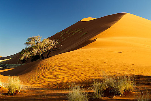 沙丘,晚上,亮光,索苏维来地区,纳米布沙漠,纳米比沙漠,公园,纳米比亚,非洲