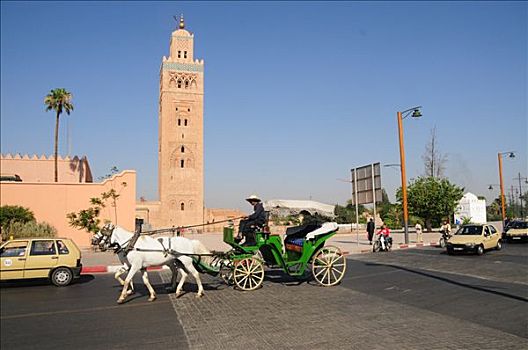 马车,正面,只有,尖塔,时期,马拉喀什,摩洛哥,非洲