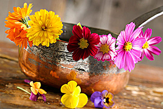 食用花卉,铜锅