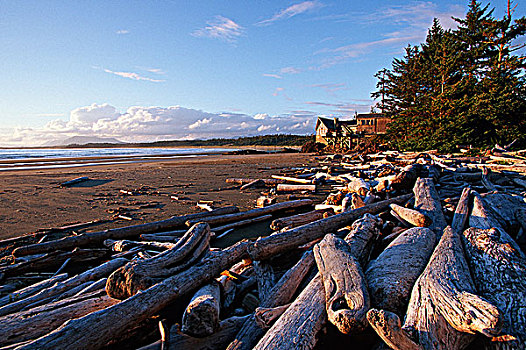 环太平洋国家公园,海滩,温哥华岛,不列颠哥伦比亚省,加拿大