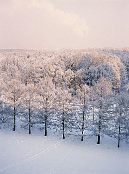 莫斯科冬季雪景