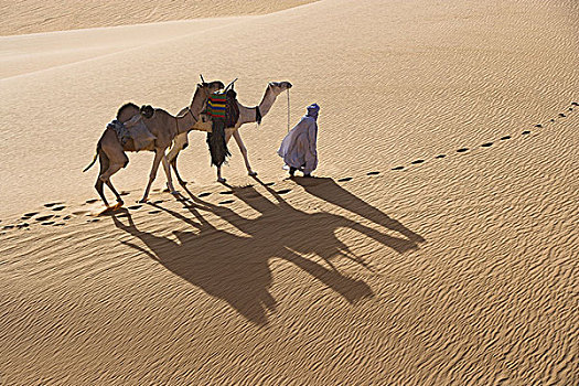 非洲,利比亚,柏柏尔人,骆驼,驼队