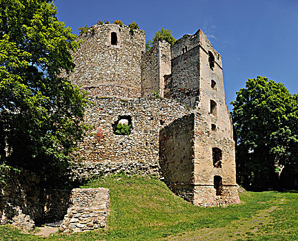 城堡,遗址,布尔根兰,奥地利,欧洲