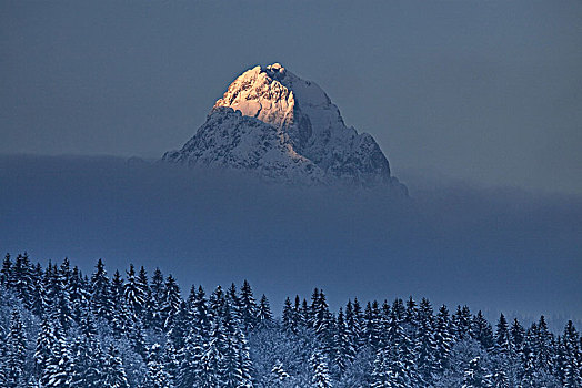 顶峰,山,清晨,冬天,加米施帕藤基兴,巴伐利亚,德国