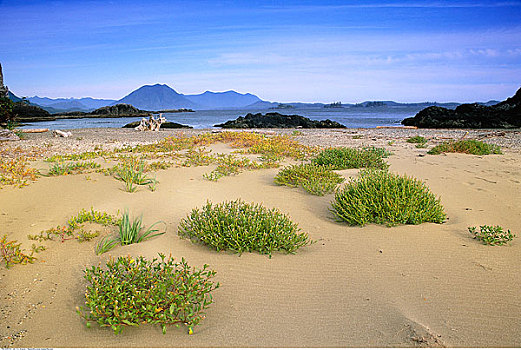 岛屿,格里夸湾,不列颠哥伦比亚省,加拿大