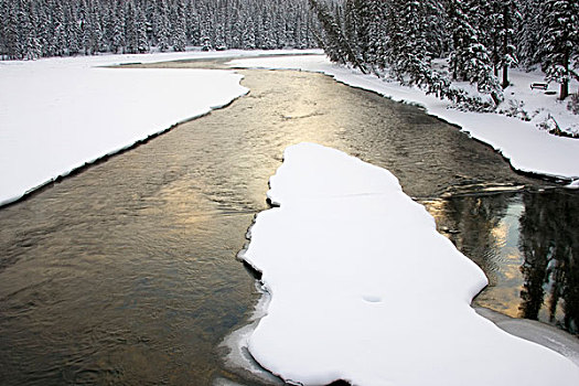 加拿大,班芙,河,雪,状况