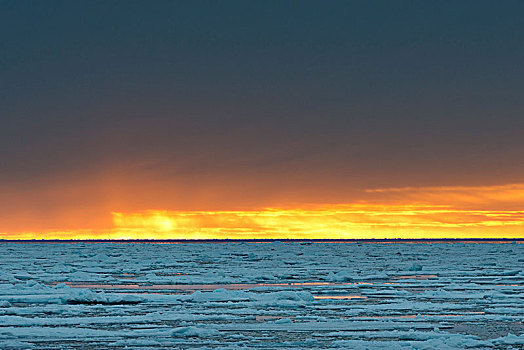 浮冰,傍晚,北冰洋,斯匹次卑尔根岛,岛屿,斯瓦尔巴群岛,斯瓦尔巴特群岛,挪威,欧洲