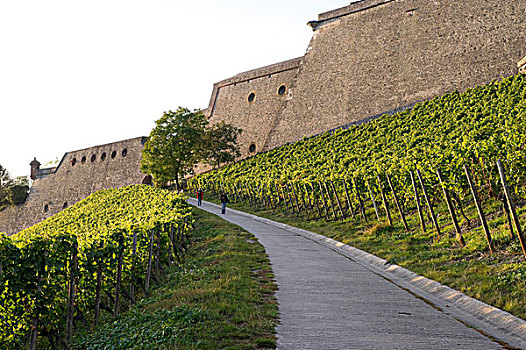 德国维尔茨堡玛丽恩贝格要塞,festung,marienberg