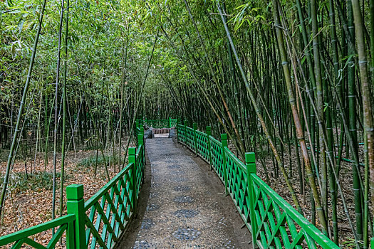 河南省郑州市人民公园竹园生态环境