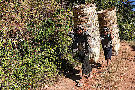 年轻,部落男子,篮子,卡劳,掸邦,缅甸,亚洲