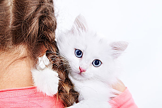 女孩,搂抱,可爱,白色,小猫