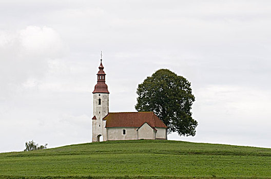 斯洛文尼亚,卢布尔雅那,教堂,树