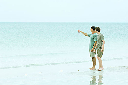 男人,男孩,站立,海滩,观景,指向