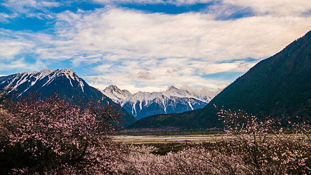 中国西藏自治区林芝桃花沟风景区