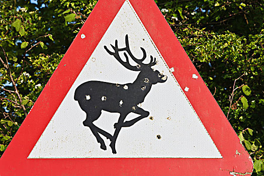 警告,鹿,标识,洞,射击,威尔特,英格兰