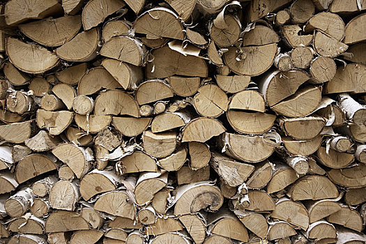 木头,安大略省,加拿大
