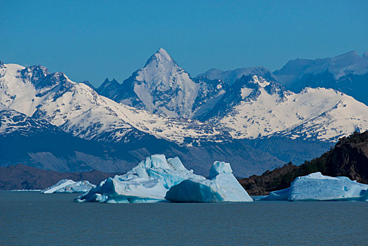 冰山,漂浮,阿根廷湖
