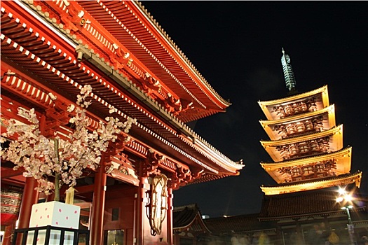 大门,庙宇,夜晚,浅草,东京,日本