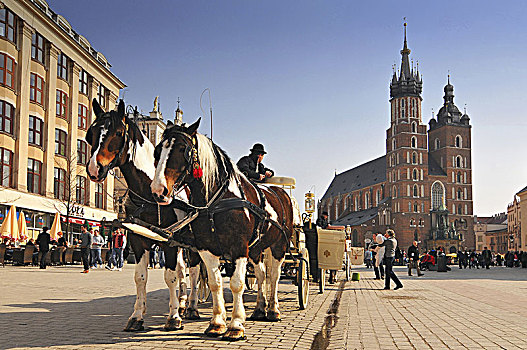 波兰,克拉科夫,市场,马车,教堂