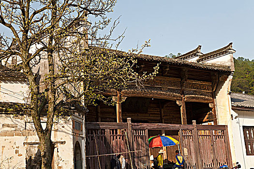 江西婺源,晓起,油菜花,徽派建筑,民居