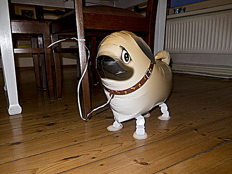 狗,气球