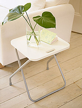 玻璃花瓶,折叠,桌子,靠近,白色,沙发