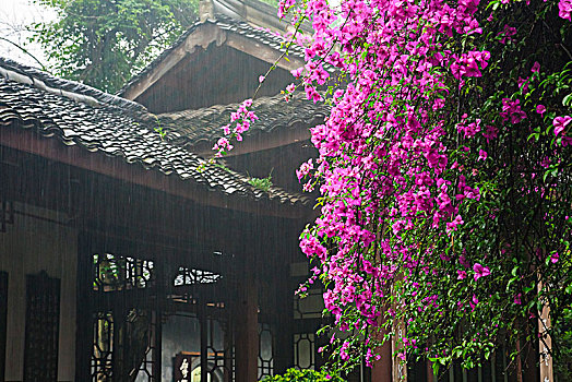 四川,成都,杜甫草堂,雨天