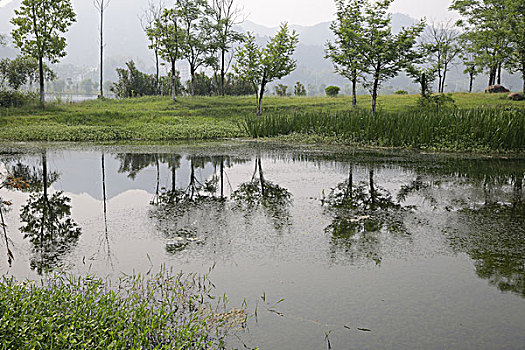 屯溪江边湿地公园