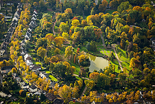 秋天,秋日树林,波鸿,鲁尔区,北莱茵威斯特伐利亚,德国