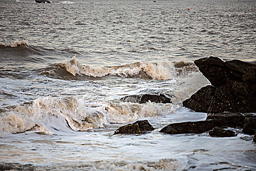 黄海,潮汐