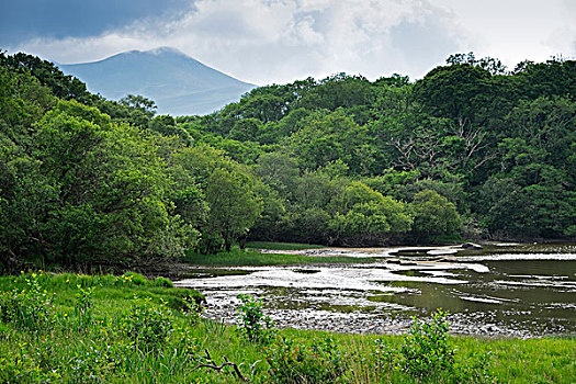 风景,基拉尼国家公园,凯瑞郡,爱尔兰