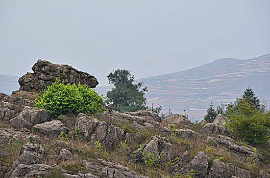 小尖山石林