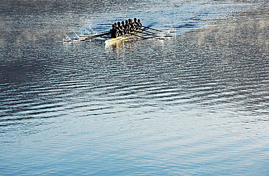 划船,团队,短桨,湖
