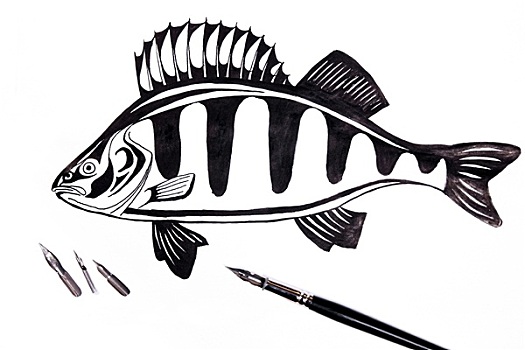 钢笔,墨水,绘画,鱼