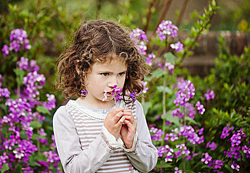 小女孩,嗅,花,花园