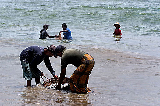 渔民,洗,鱼,抓住,浅,海洋,水,斯里兰卡,七月,2007年